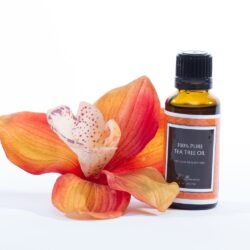 100% Tea Tree Oil
